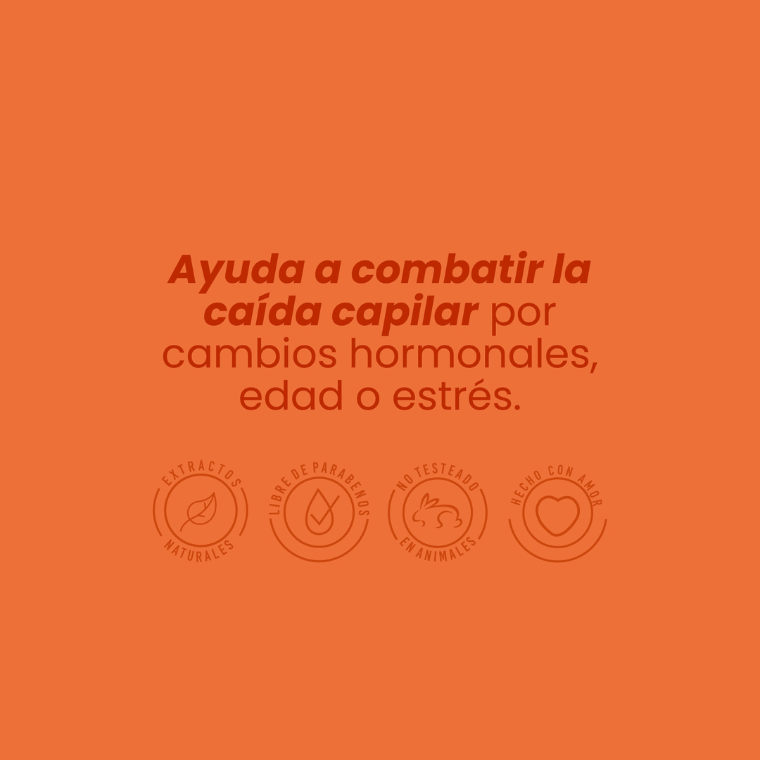 Shampoo Con Ginseng Anyeluz X500 Ml - Image 3