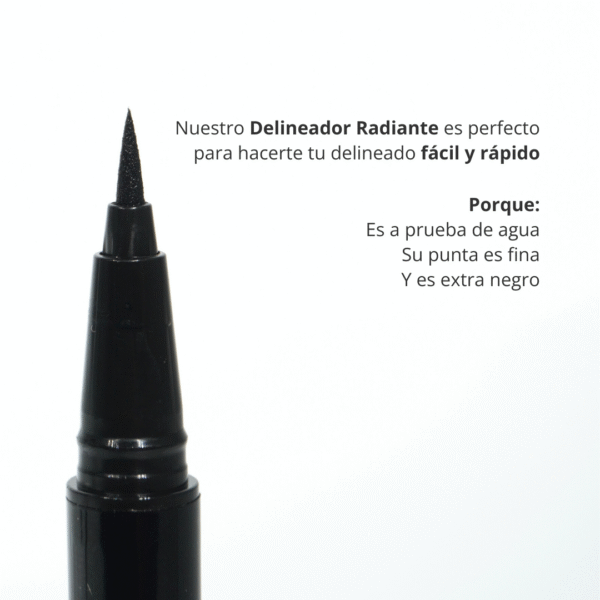 Delineador Liquido Radiante X2 Gr Ani-K Makeup - Image 7