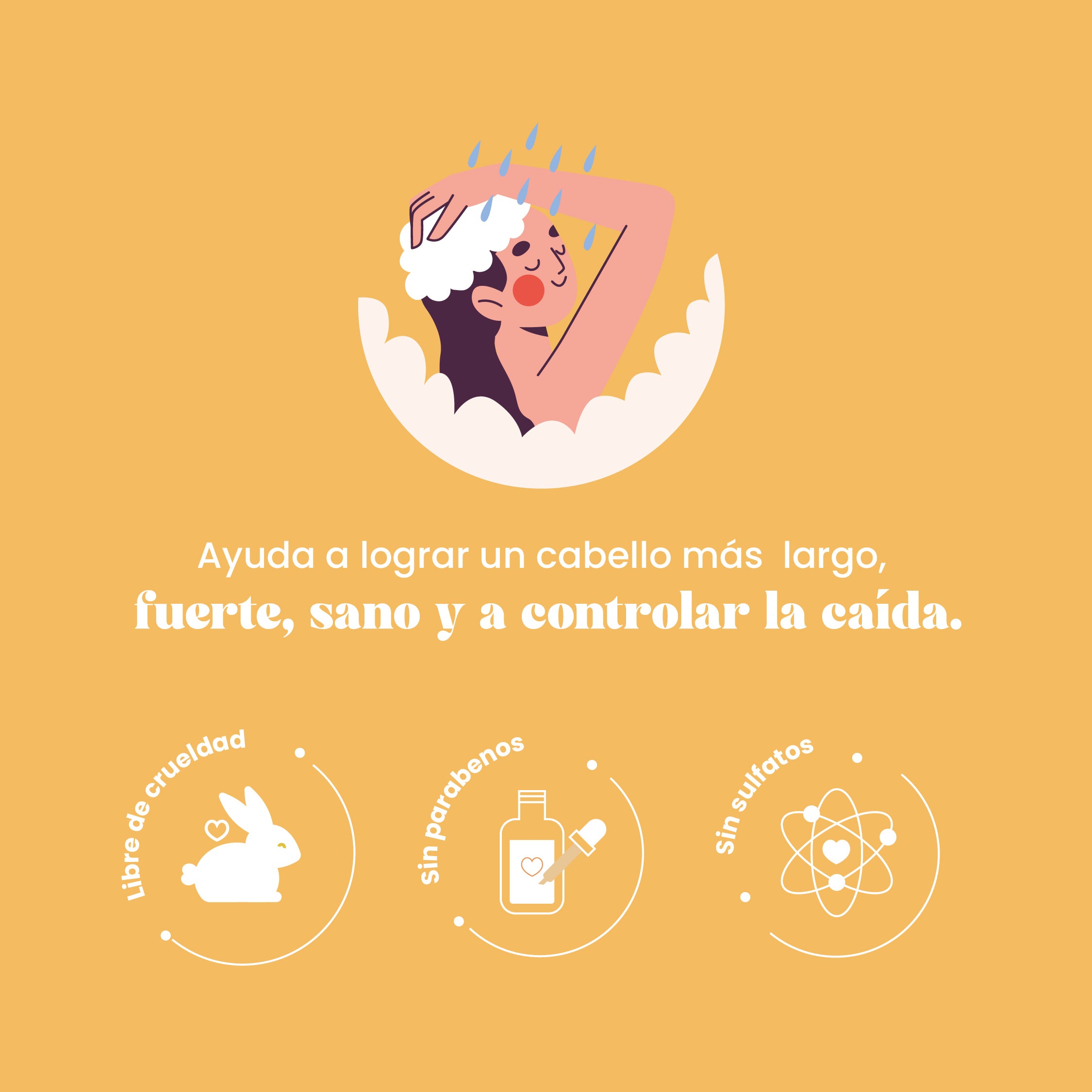 Shampoo Paracaídas Con
Extractos X500 Ml Natural - Image 3