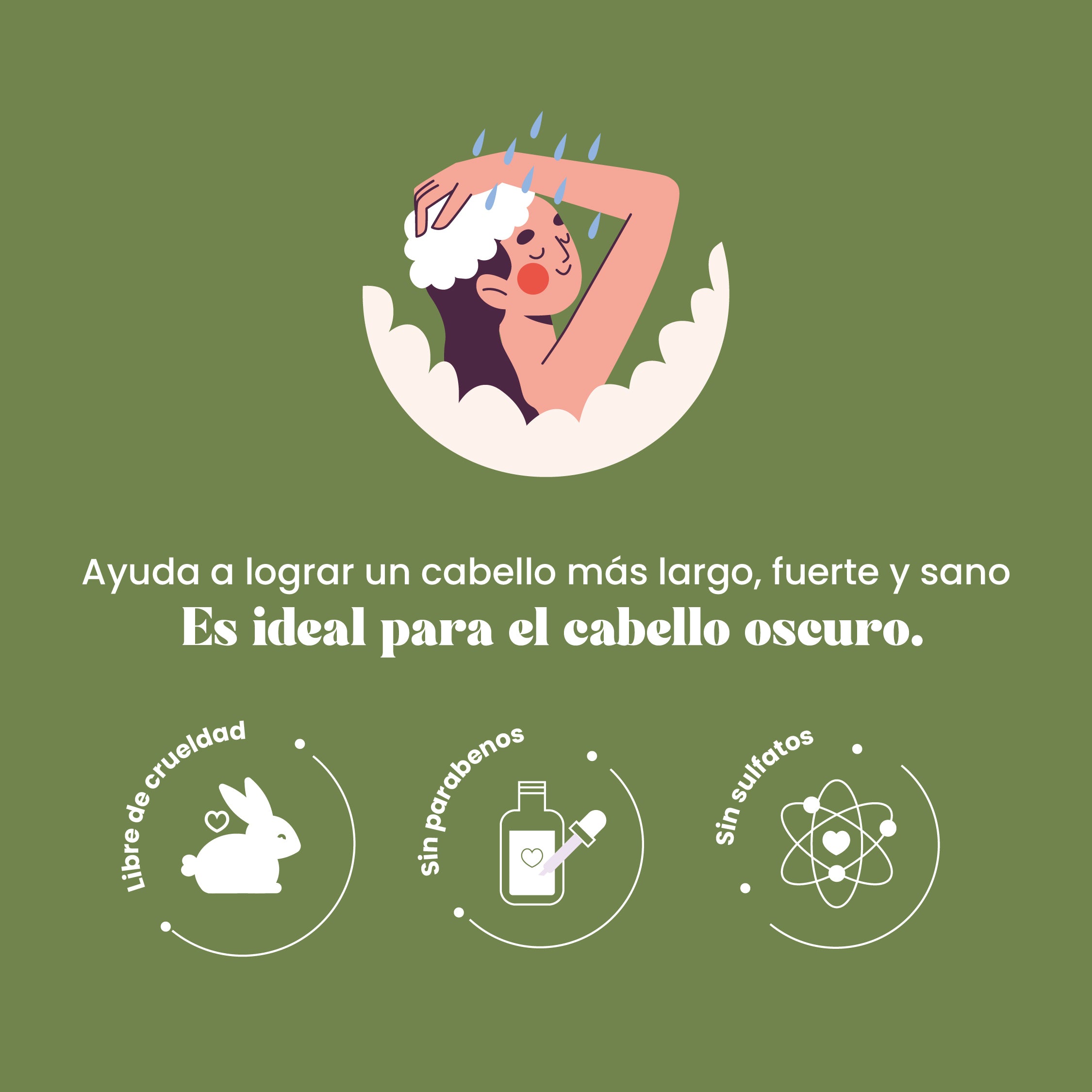 Shampoo De Romero Y Quina Sachet X15 Ml C/U Natural Sant - Image 3