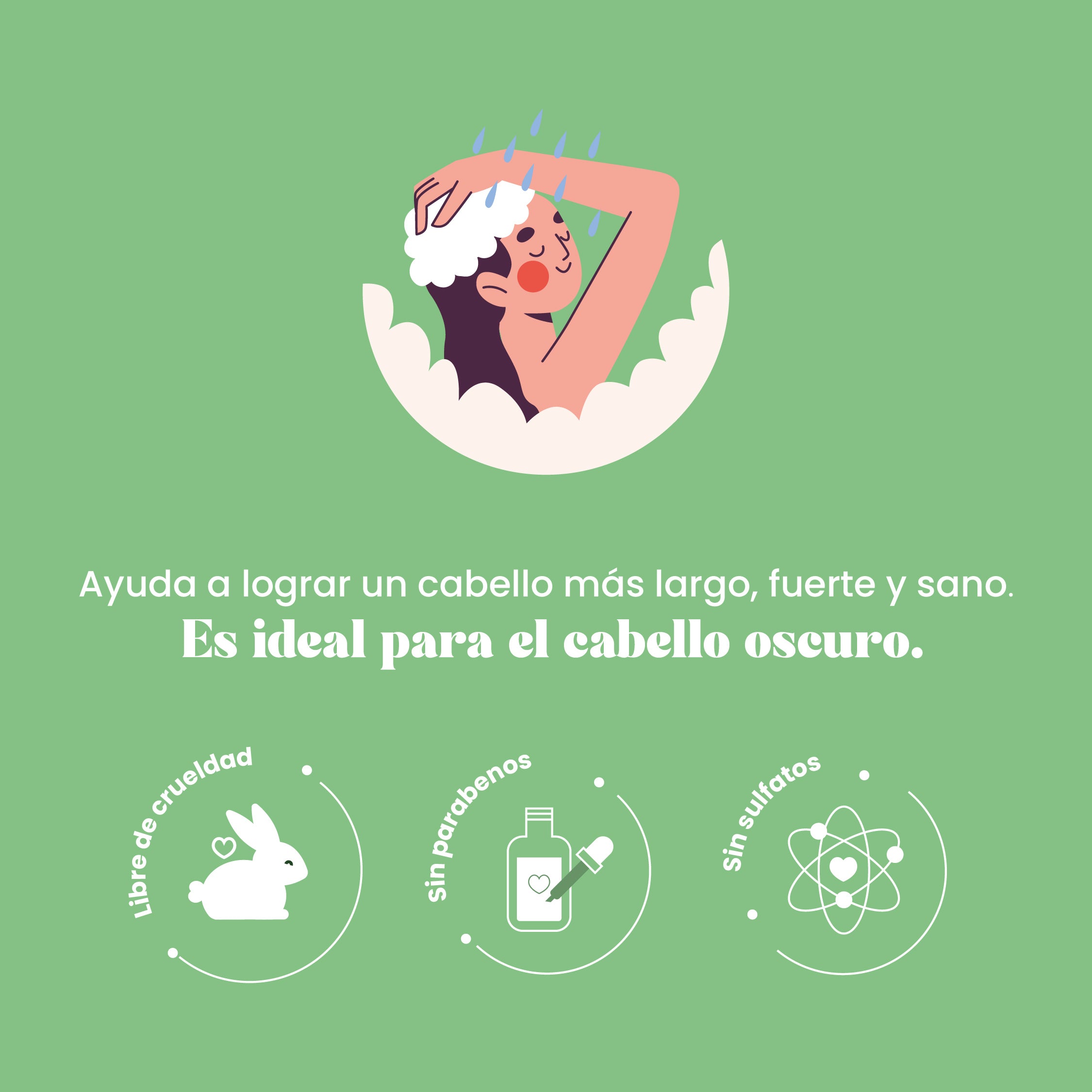 Shampoo De Romero Y Quina X500
Ml Natural Sant - Image 3