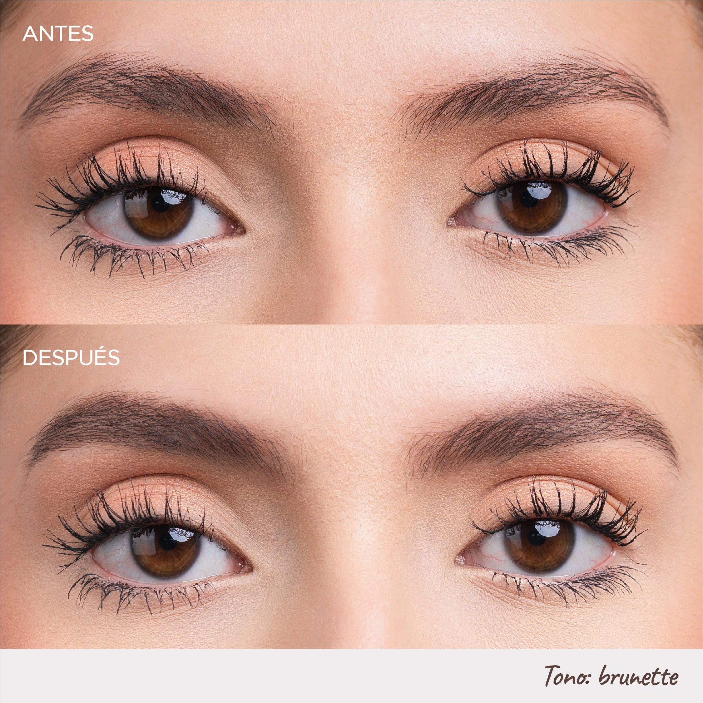 LÁPIZ DE CEJAS COLLECTION – BLONDIE - Image 5