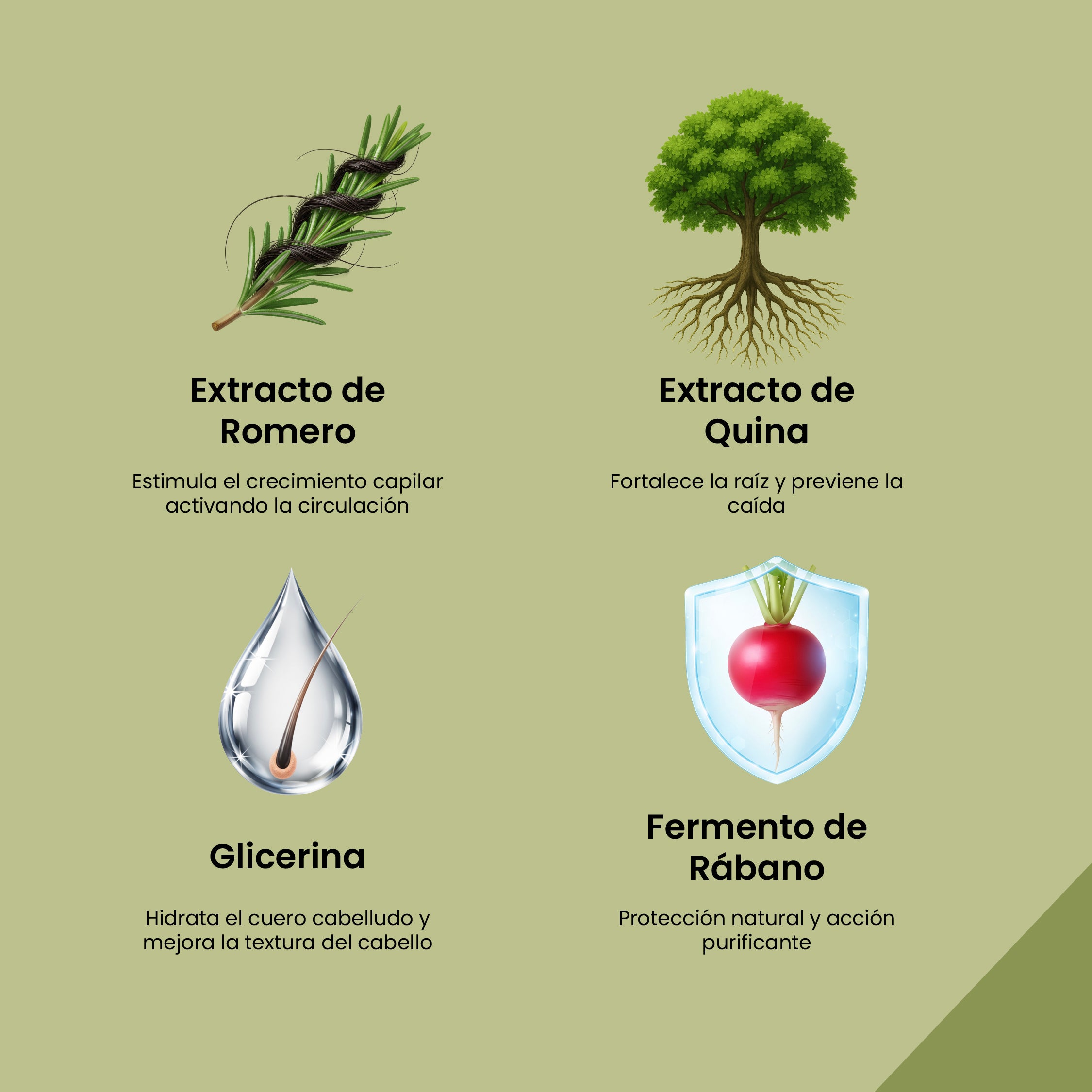 Shampoo Prevent + Romero y Quina Herbacol Sachet X15Ml C/U - Image 3