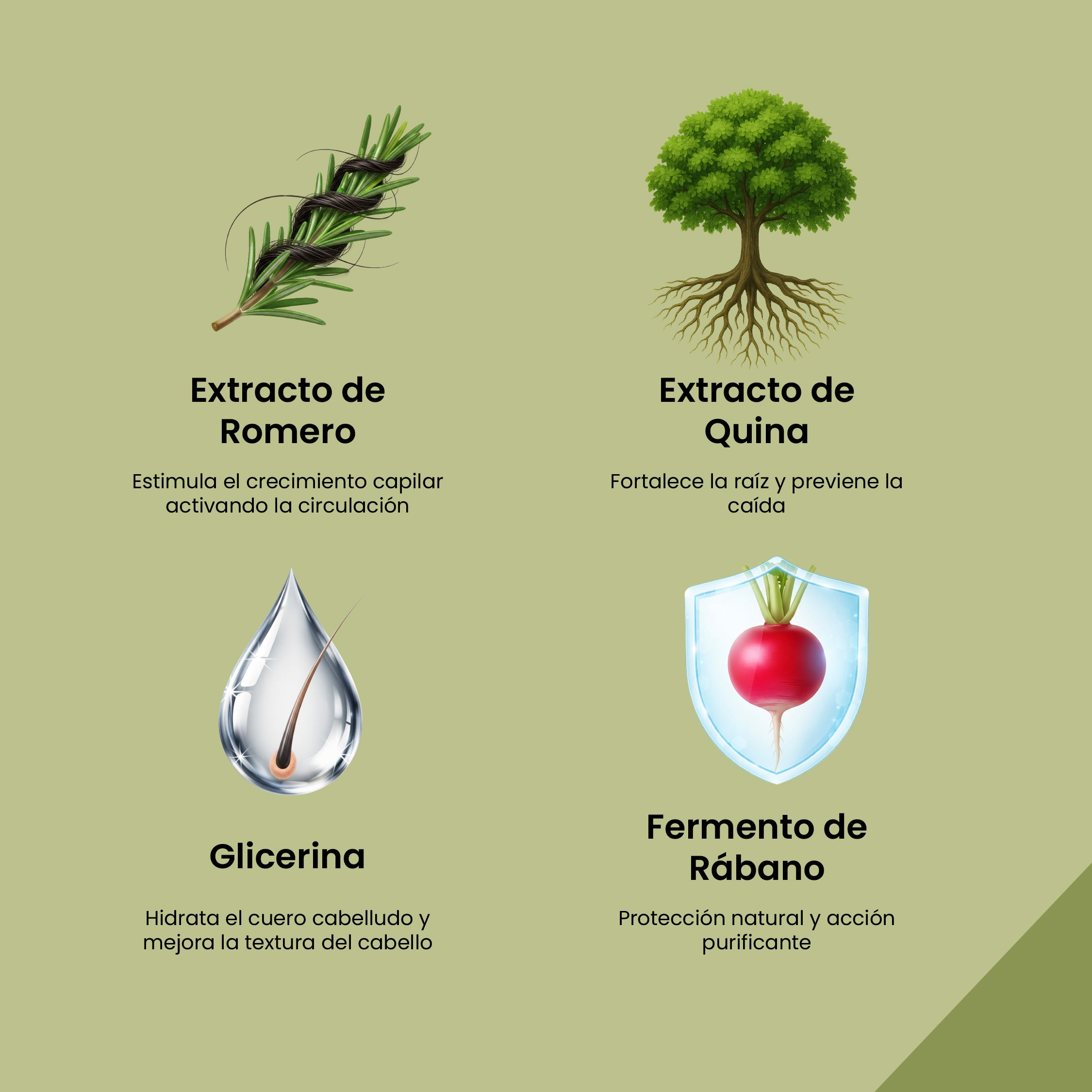 Shampoo Romero Quina Prevent Herbacol X1000 Ml - Image 3