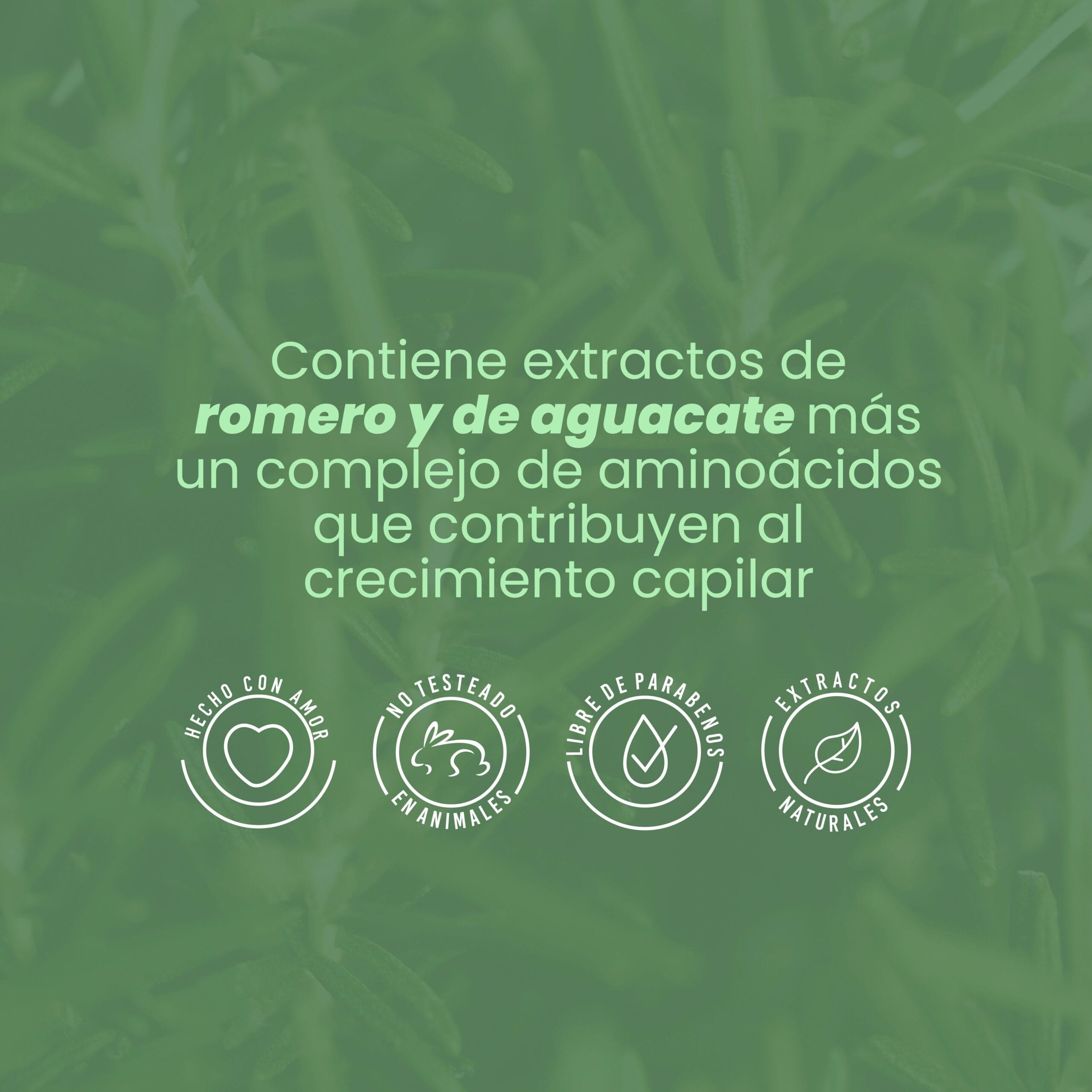 Bioterapia Capilar Con Romero Y Bioelixir Anyeluz X300 Ml - Image 4