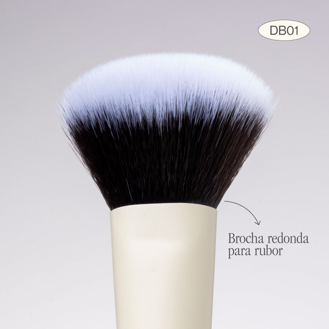 BROCHA DUO POLVO Y RUBOR - Image 3