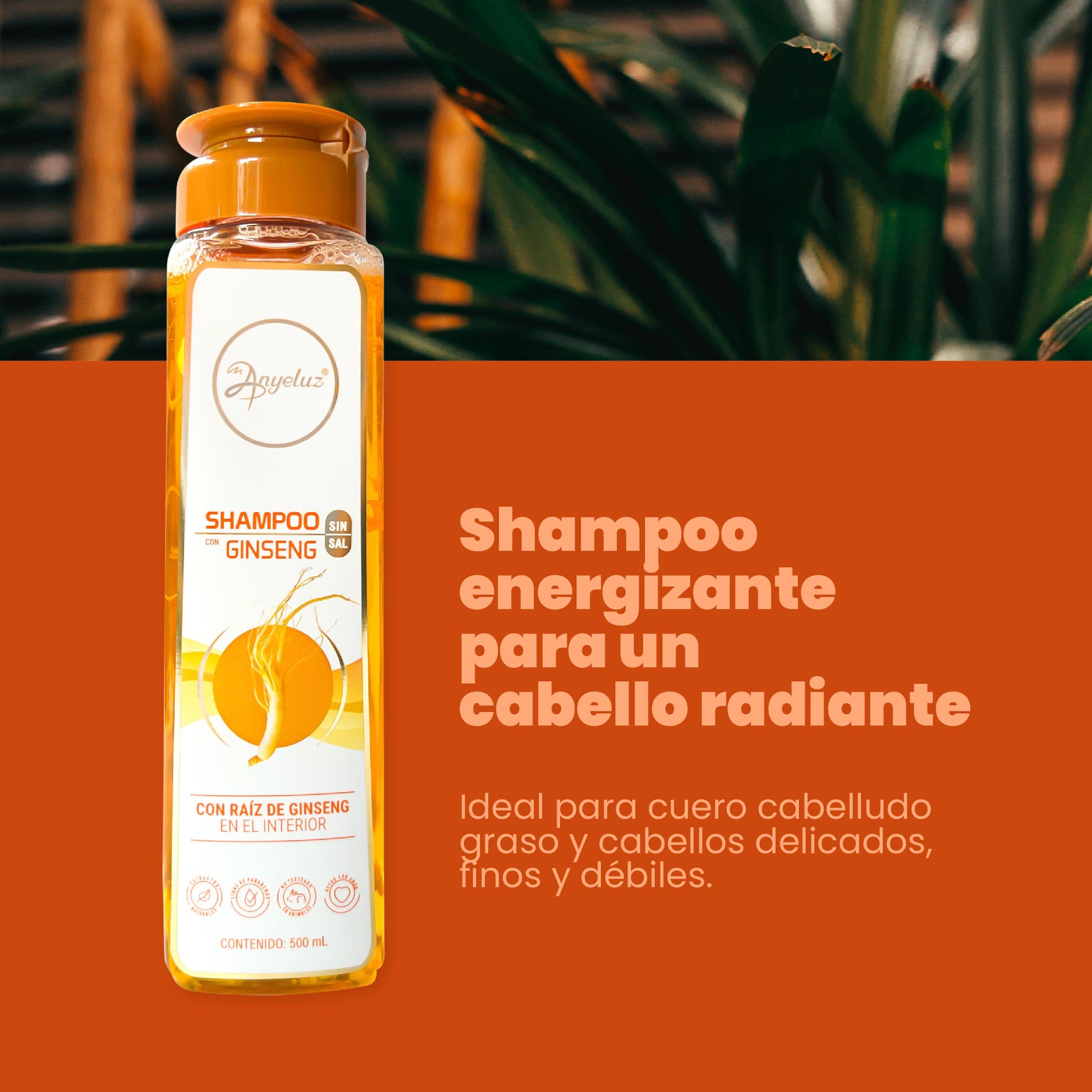 Shampoo Con Ginseng Anyeluz X500 Ml - Image 2