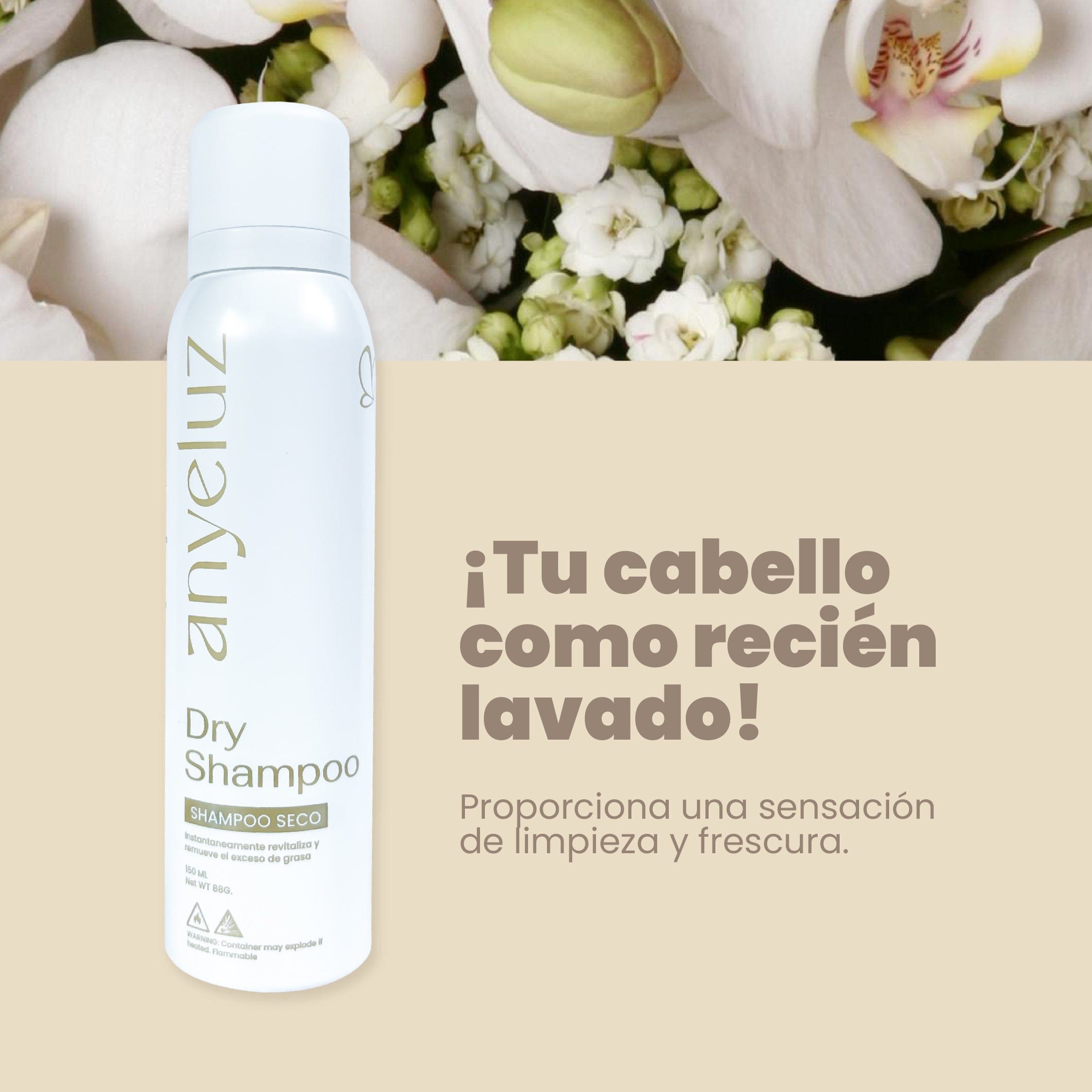 Shampoo Seco Anyeluz X100 Ml - Image 2