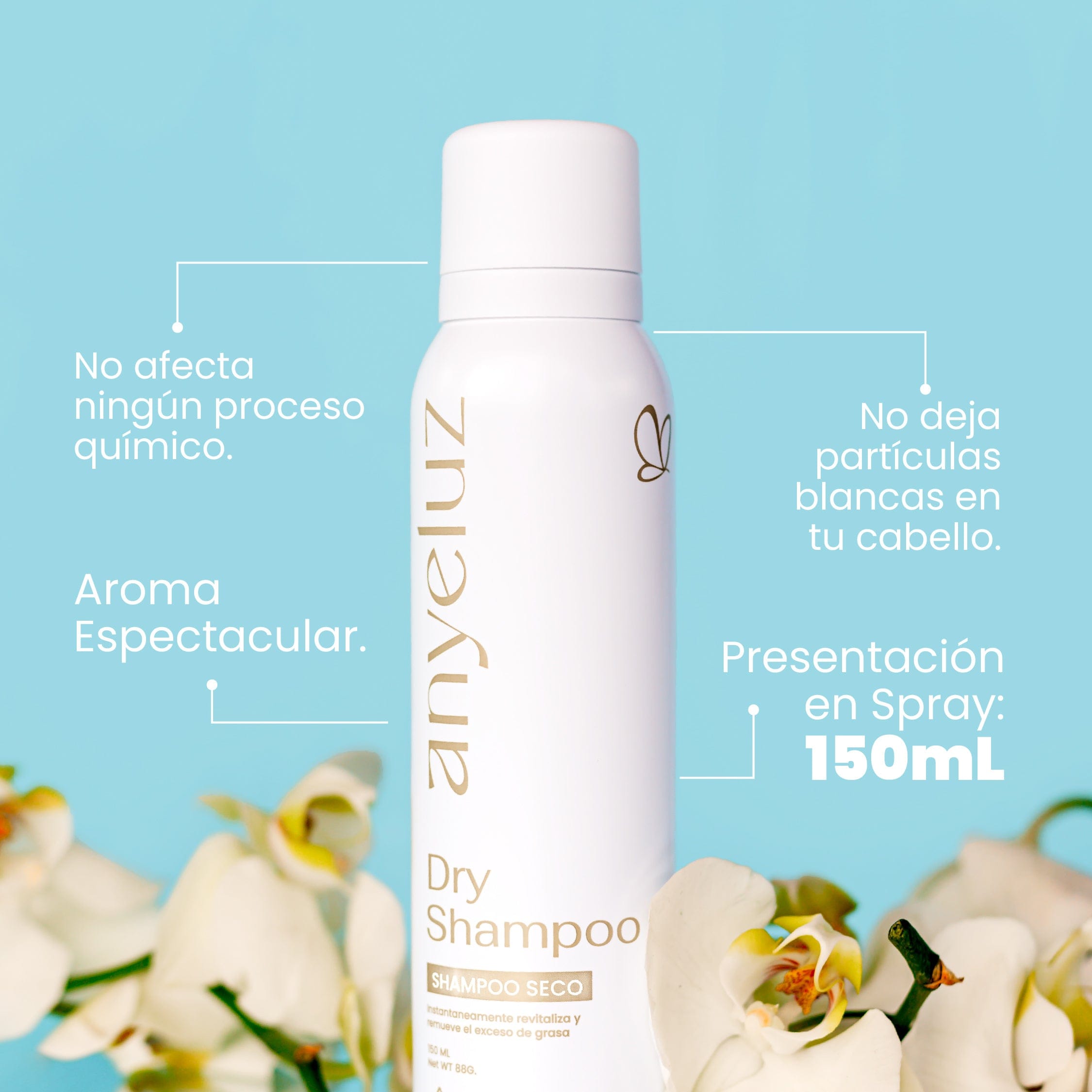 Shampoo Seco Anyeluz X100 Ml - Image 4