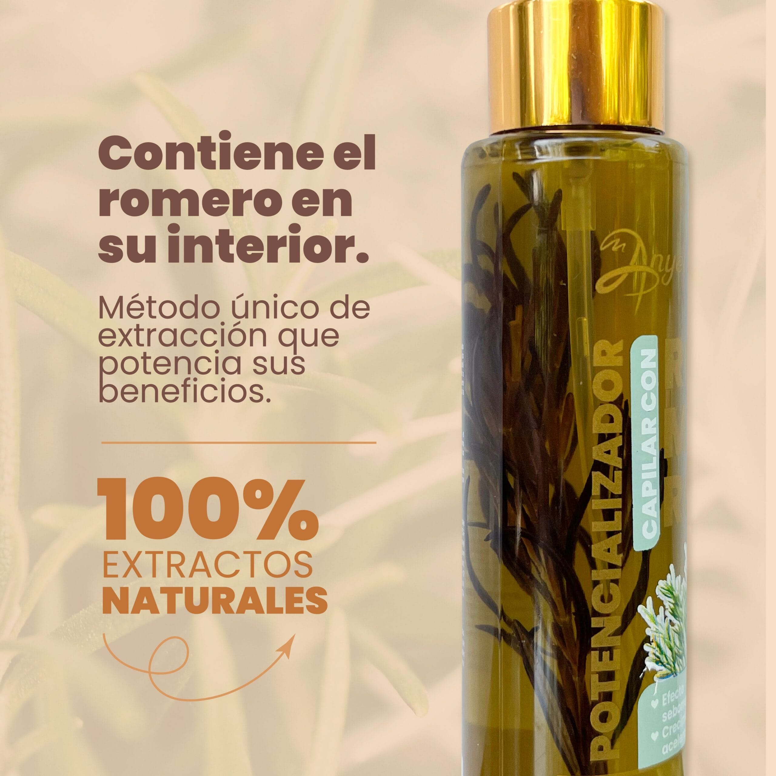 Potencializador De Romero Anyeluz X110 Ml - Image 6