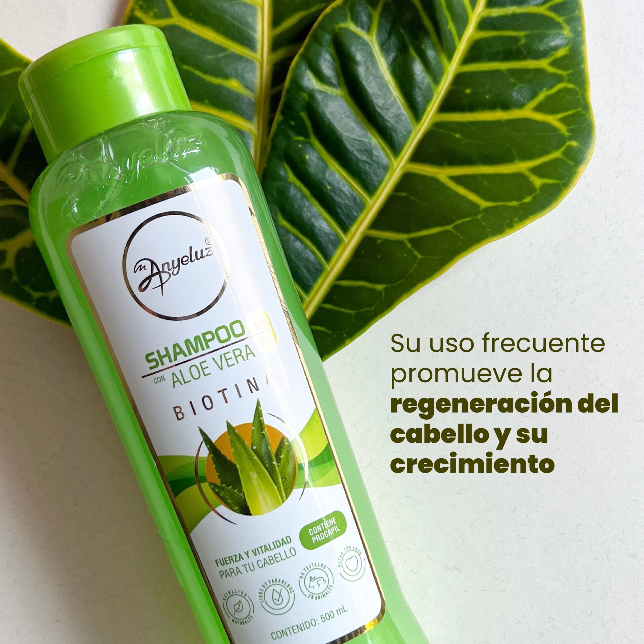 Shampoo Aloe Vera Anyeluz X500 Ml - Image 5