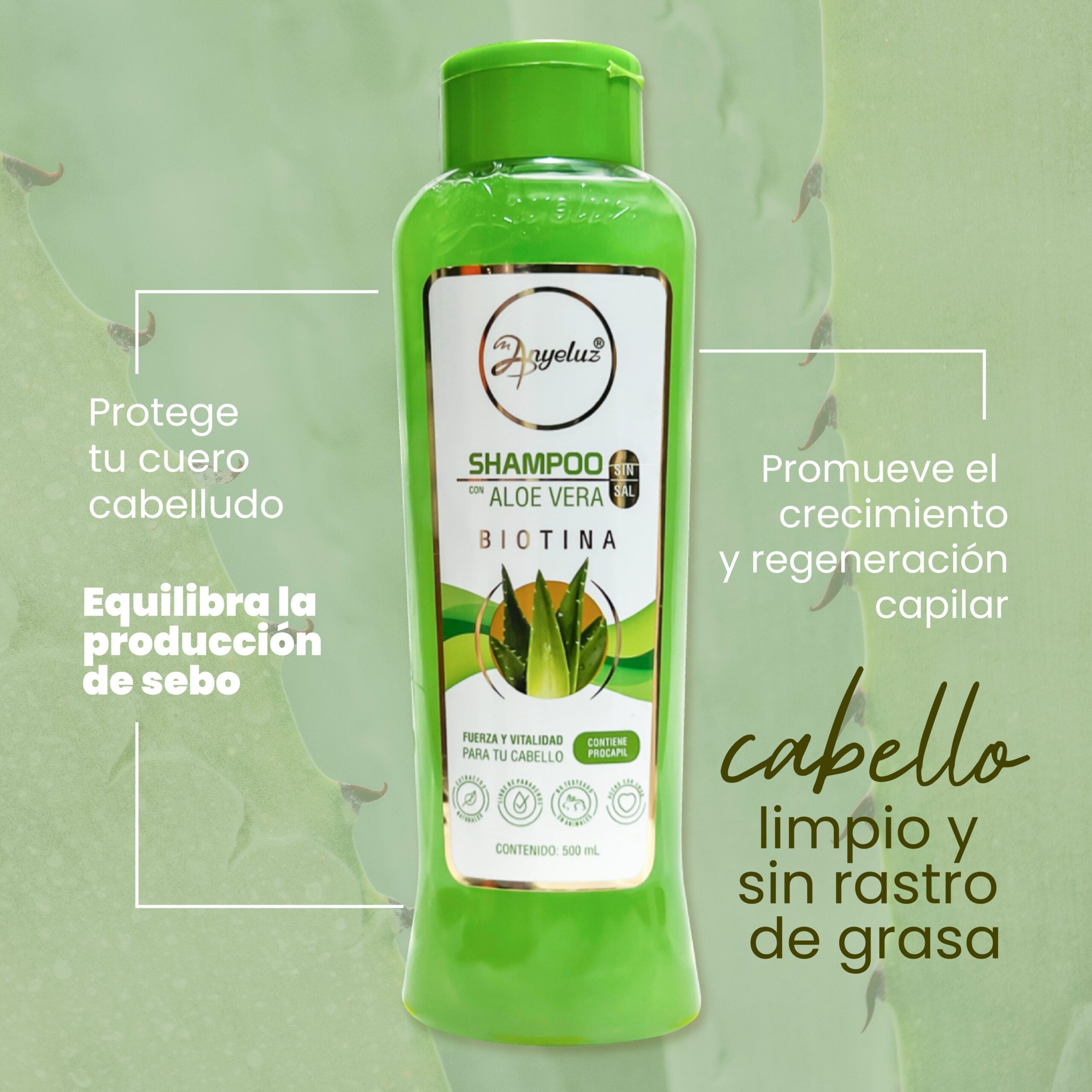 Shampoo Aloe Vera Anyeluz X500 Ml - Image 3