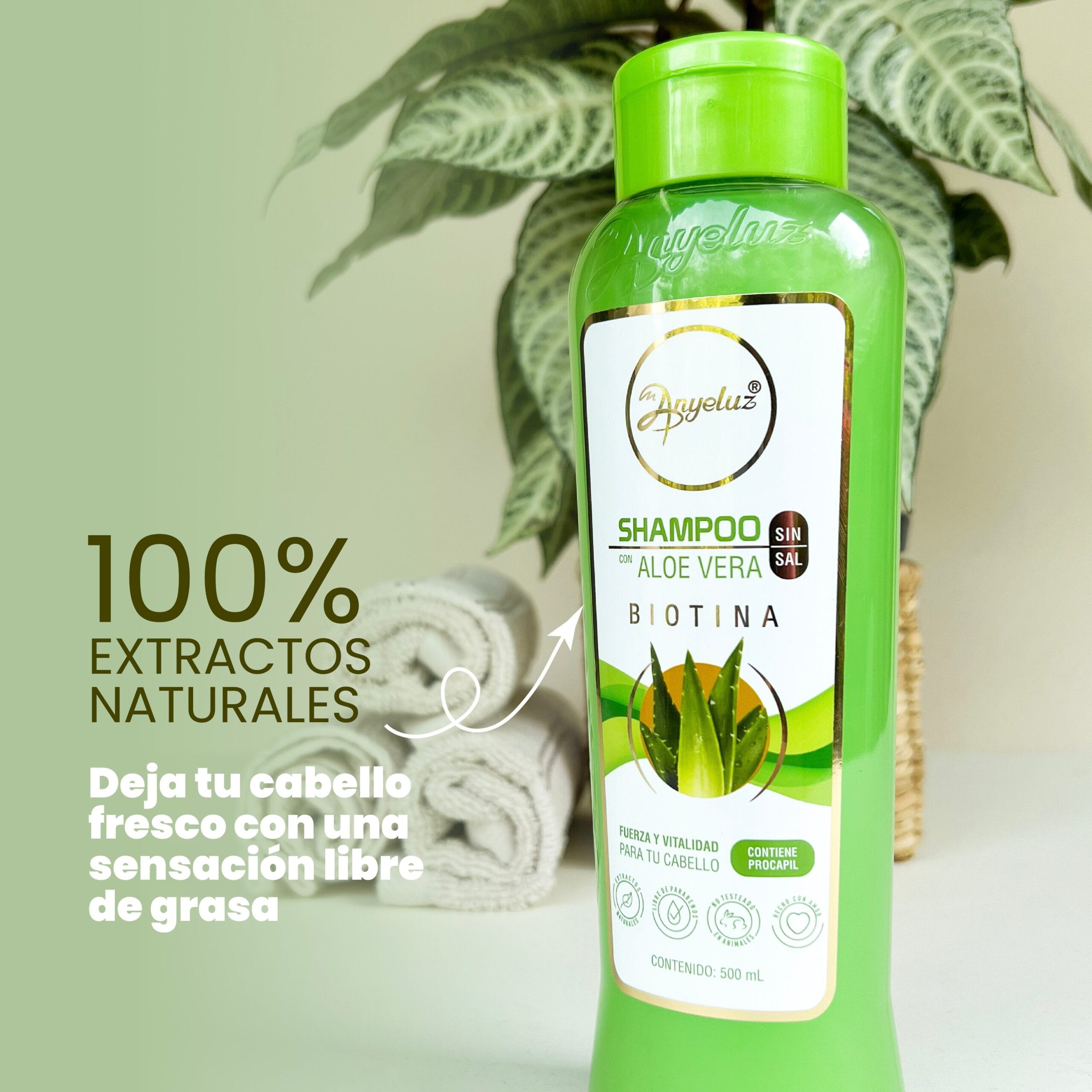 Shampoo Aloe Vera Anyeluz X500 Ml - Image 6