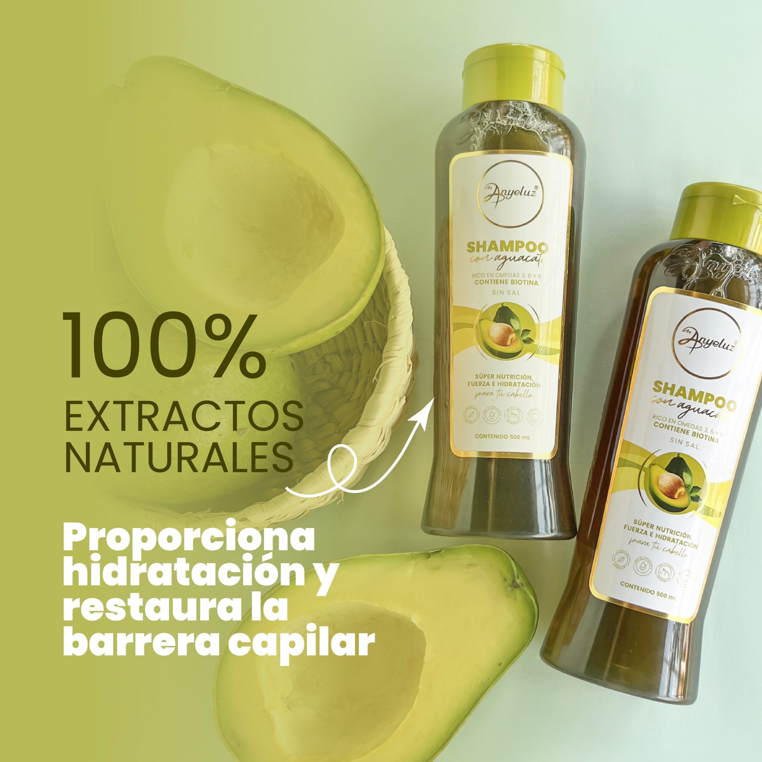 Shampoo Con Aguacate Anyeluz X500 Ml - Image 6
