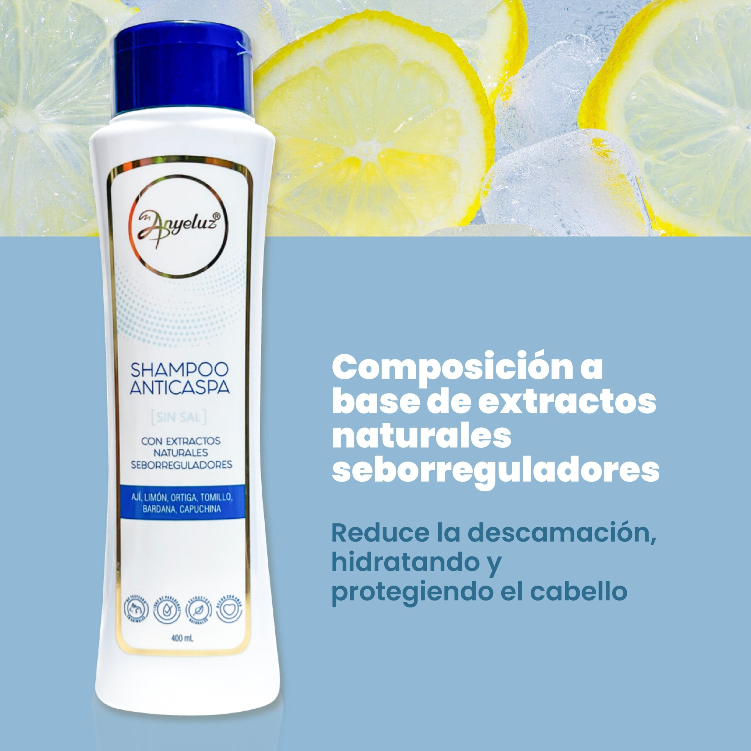 Shampoo Anticaspa Anyeluz X400 Ml - Image 9