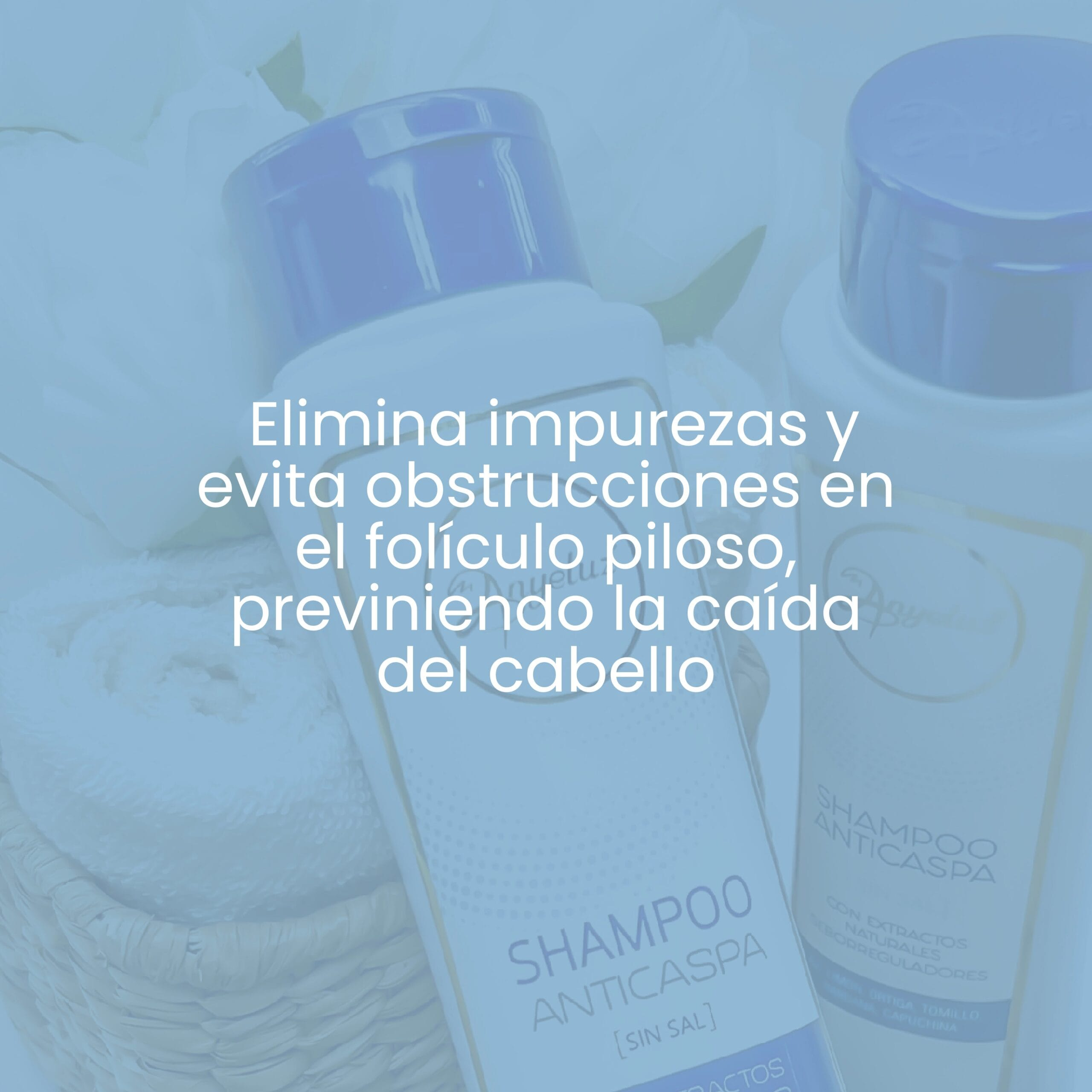 Shampoo Anticaspa Anyeluz X400 Ml - Image 13