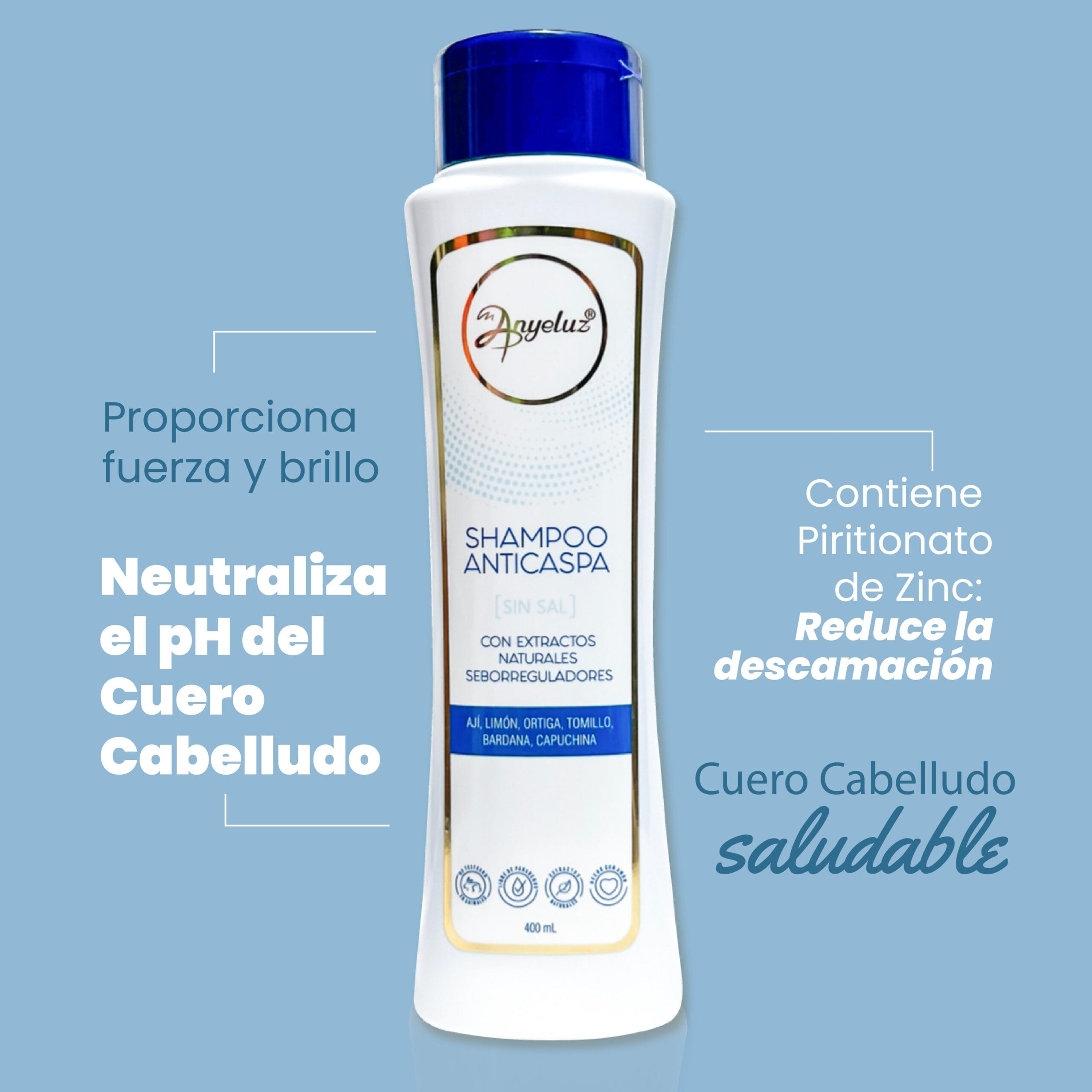 Shampoo Anticaspa Anyeluz X400 Ml - Image 10