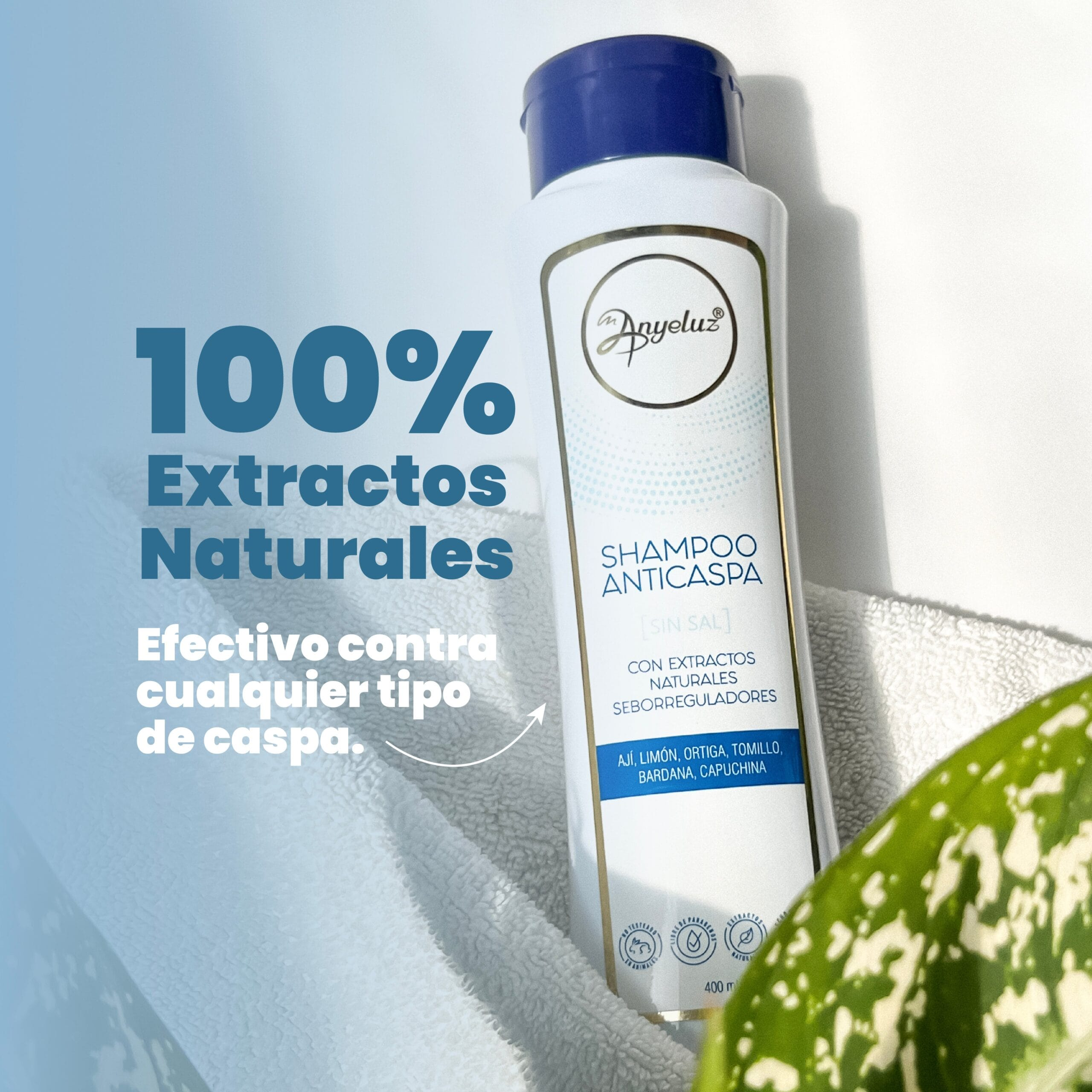 Shampoo Anticaspa Anyeluz X400 Ml - Image 12