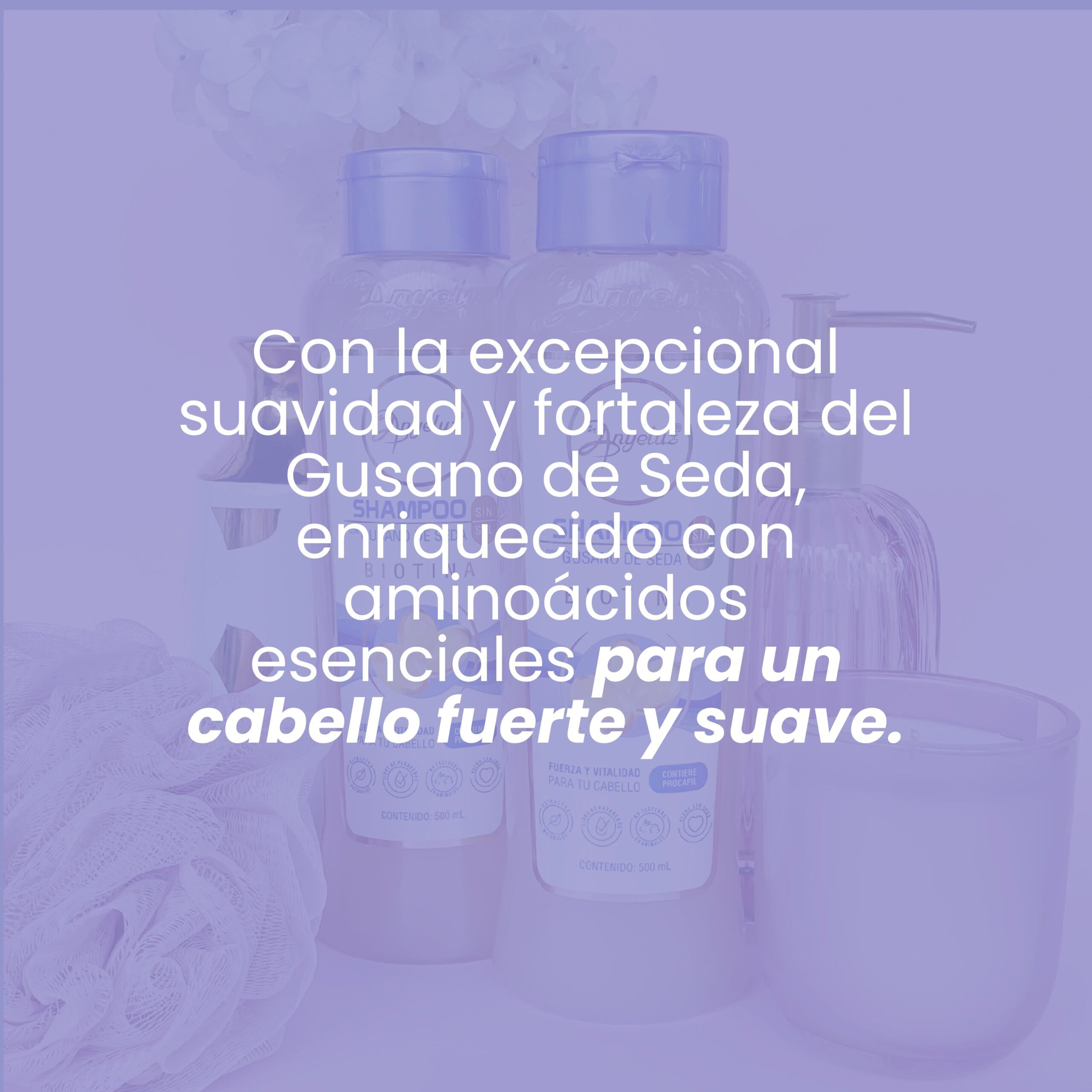 Shampoo Gusano De Seda Anyeluz X500 Ml - Image 5