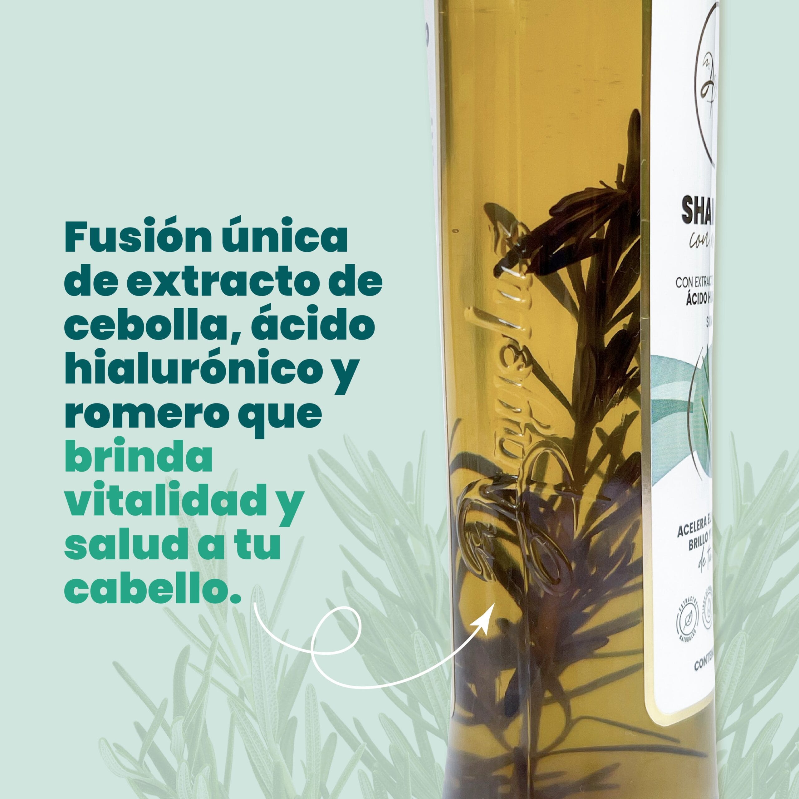 Shampoo Con Romero Anyeluz X500 Ml - Image 5