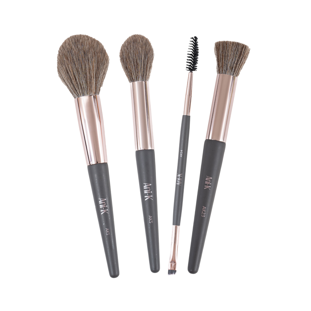 Celebrity Skin Brush Kit
