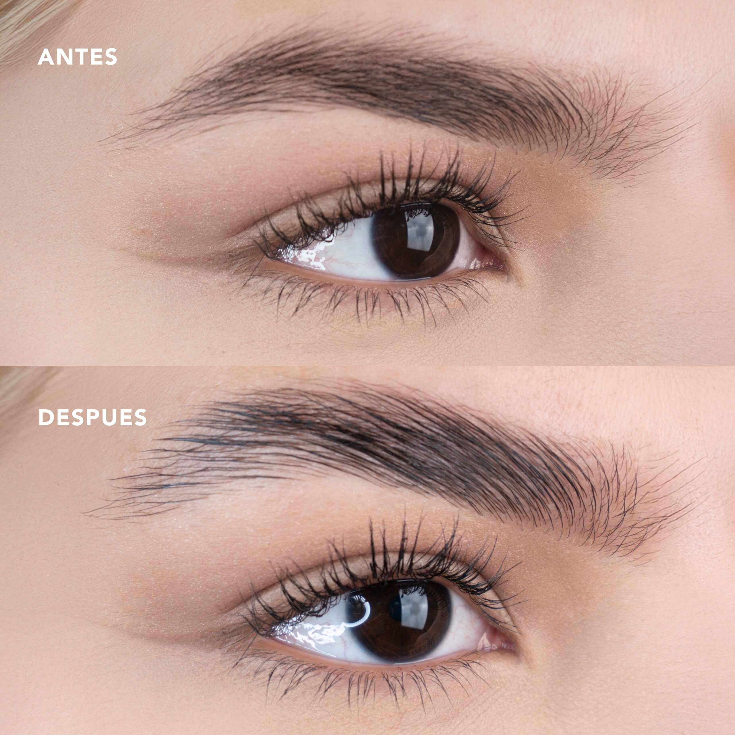 Gel Fijador De Cejas Brow Rise - Image 5