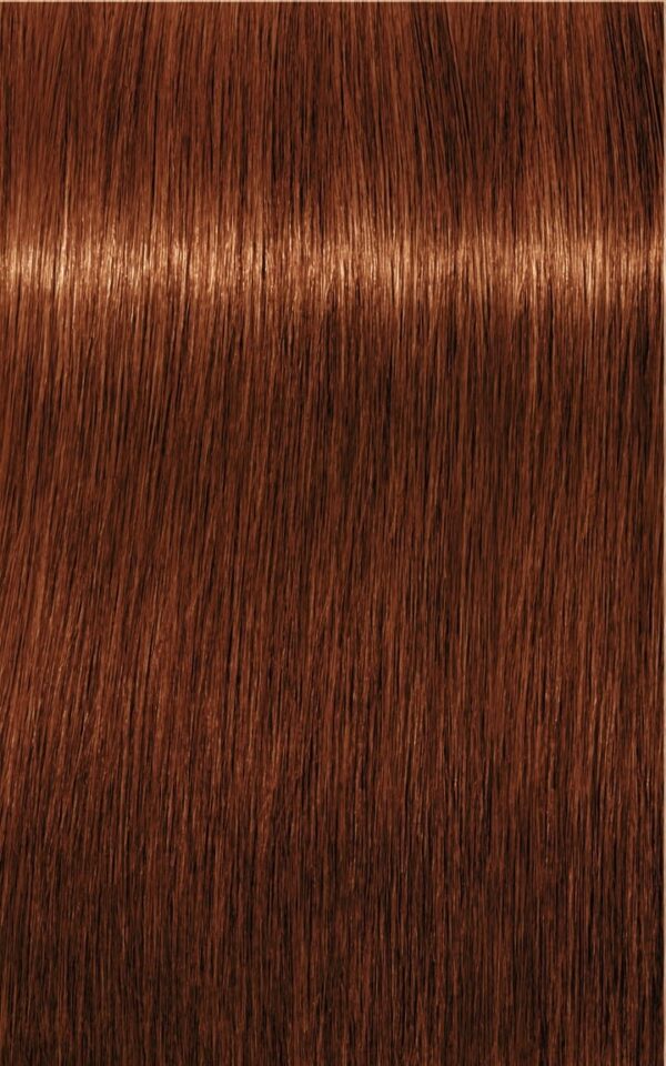 Tintura Igora Royal 6-77 Rubio Oscuro Cobrizo Intenso Schwarzkopf X60 Ml - Image 2