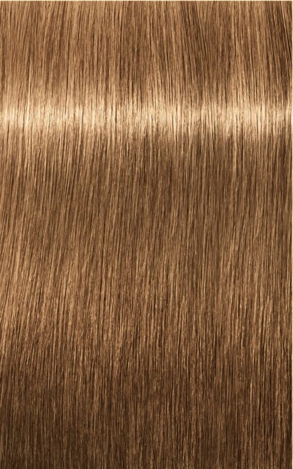 Tintura Igora Royal Absolutes 8-50 Rubio Claro Dorado Natural Schwarzkopf X60 Ml - Image 2